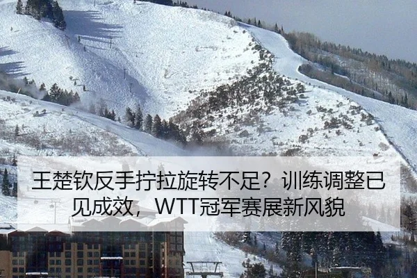 王楚钦反手拧拉旋转不足？训练调整已见成效，WTT冠军赛展新风貌